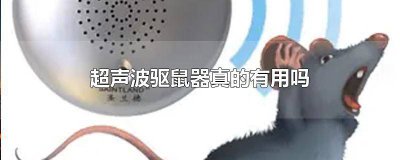 ​为什么我能听到驱鼠器超声波 驱鼠器超声波对儿童有害吗