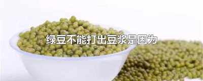 ​绿豆不能打出豆浆是因为什么 绿豆不能打出豆浆,为什么