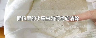 ​面粉里有小黑虫怎么去除 面粉里面有小黑虫