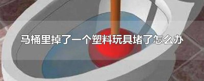 ​塑料玩具掉马桶里面堵了怎么办 塑料玩具掉马桶里堵起来了怎么办