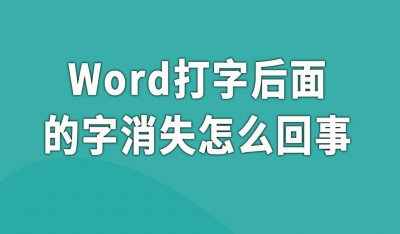 ​word打字后面的字消失怎么办（Word插入文字后面的字自动消失是怎么回事）