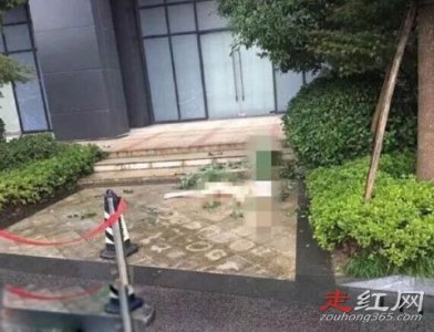 ​任娇是怎么掉下去的 死亡真相是什么