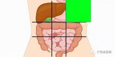 ​人体内脏器官位置分图布(一张腹部地图，让你终身受益)