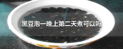 ​黑豆泡了一晚上第二天煮多久 黑豆泡了一天一夜还可以吃吗