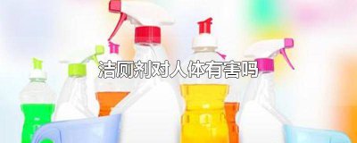 ​洁厕剂的味道对人体有害么嘛 洁厕剂气味