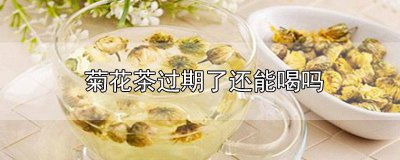 ​菊花过期了还能泡茶吗 菊花茶过期了还能泡茶吗