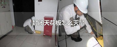 ​封闭天花板老鼠怎么上去的 天花板老鼠怎么灭