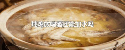 ​啤酒炖鸡的时候可以加热水吗为什么 啤酒炖鸡的时候可以加热水吗视频