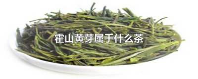 ​霍山黄芽属于十大名茶吗 霍山黄芽和霍山黄大茶的区别