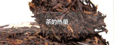 ​桃桃四季春茶和奶茶哪个热量高 蜜雪冰城蜜桃四季春茶热量多少