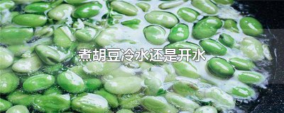 ​煮胡豆冷水还是开水