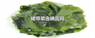 ​裙带菜有含碘吗百度百科 裙带菜是高碘食物吗