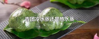 ​青团用热水蒸多久 青团可以蒸热吗