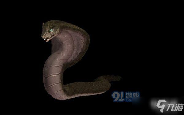 魔兽世界8.3猎人新增宠物获得教学 全猎人新增宠物位置一览