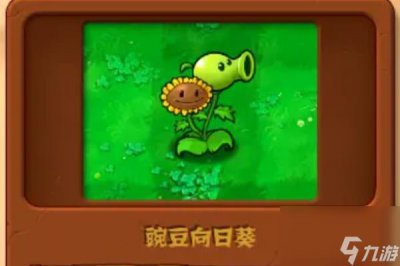 ​植物大战僵尸杂交版植物图鉴大全