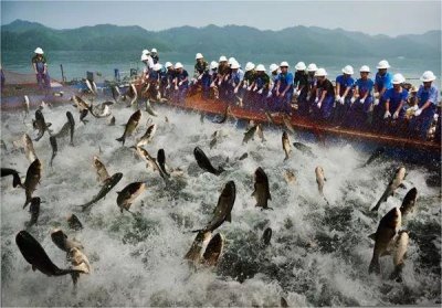 ​世界四大渔场是指哪些渔场？北海道渔场位居第一