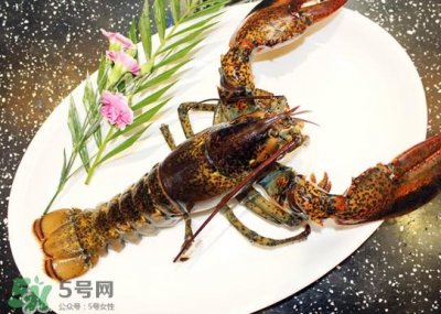 ​波士顿龙虾头能吃吗？波士顿龙虾哪里不能吃