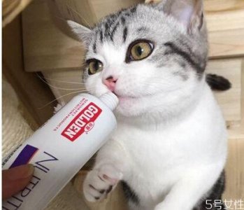 ​猫营养膏多久喂一次 猫营养膏吃多了会怎样