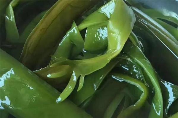 海白菜不能和什么同吃 海白菜食用禁忌