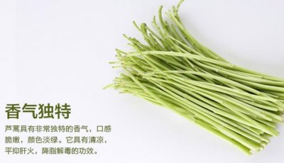 ​芦蒿是发物吗？芦蒿是不是发物