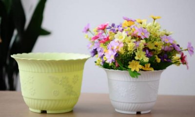 ​塑料花盆品牌排名前十 第一名:茶花 信丰信佳上榜