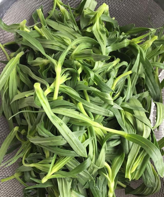 又是一年荠菜时，你会辨别荠菜吗？