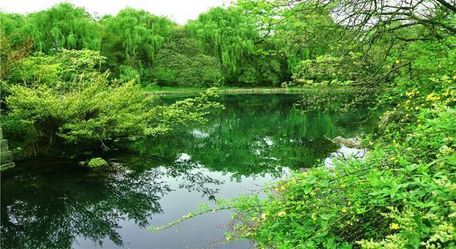 贵州的”高原明珠“花溪公园